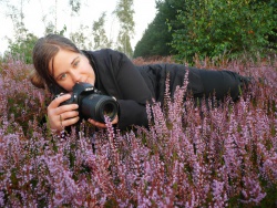 Die Wildlife Ausstellung in Bollewick